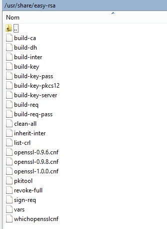 TUTOS.EU : Mettre en place un serveur openvpn
